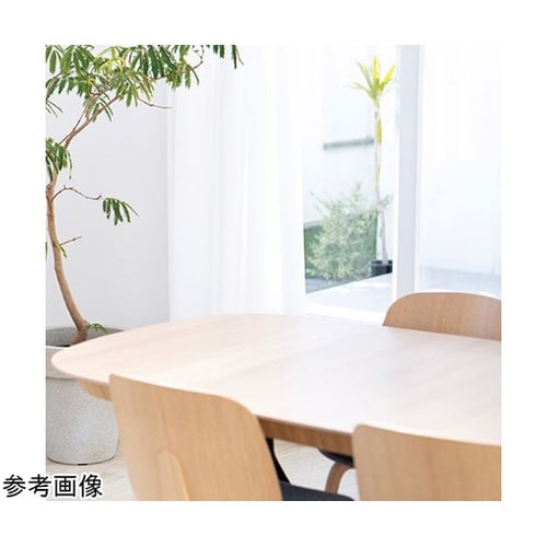 抗菌&除菌バラエティーセットライオントッ