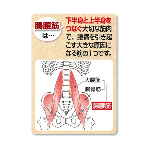 お腹を締め付けない腰のサポーター ベージ