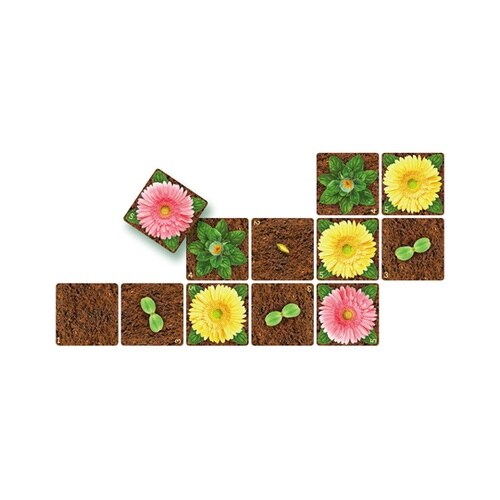カードゲーム フラワーズ