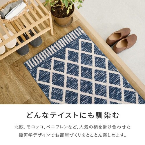 玄関マット 室内 アイラ 45×75 シ