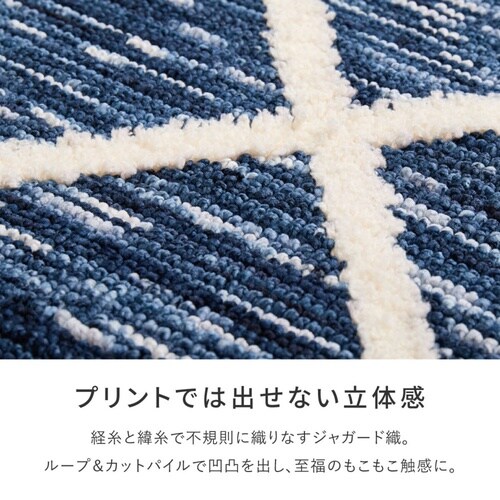 玄関マット 室内 アイラ 45×75 シ