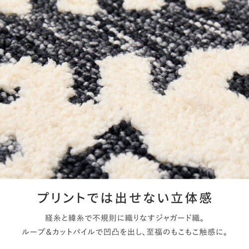 玄関マット 室内 ダッタ シェニールマッ
