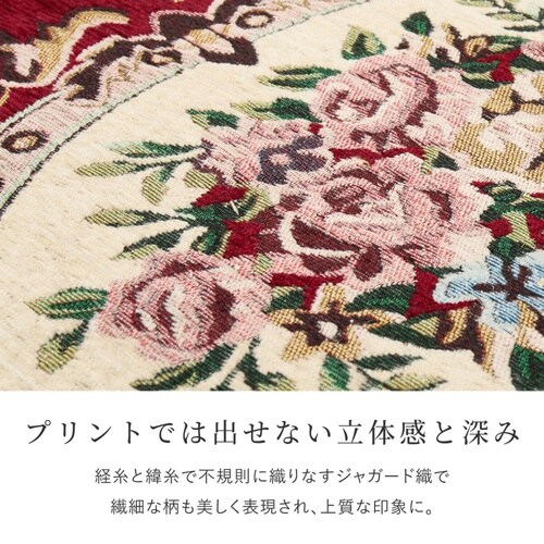 玄関マット 45×75 ダミニ 室内 レ