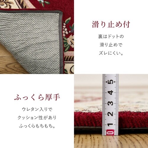 玄関マット 45×75 ダミニ 室内 レ