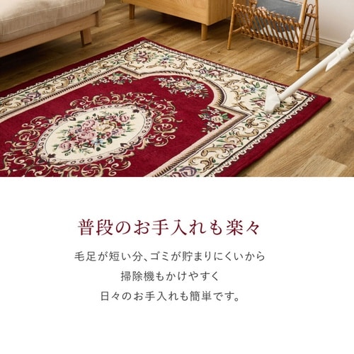 玄関マット 45×75 ダミニ 室内 レ