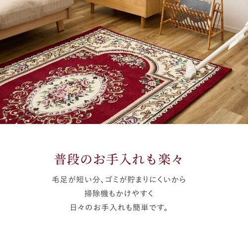 玄関マット 70×120 ダミニ 室内