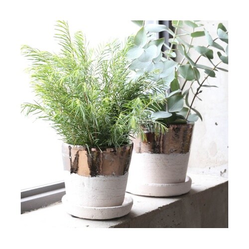 ダルトン 植木鉢 テラコッタ バイカラー