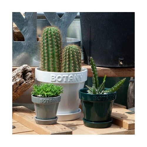 ダルトン 植木鉢 ボタニーポット 6号鉢