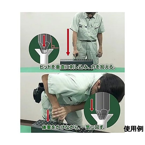 4本組 エキストラクターセット (ネジバ