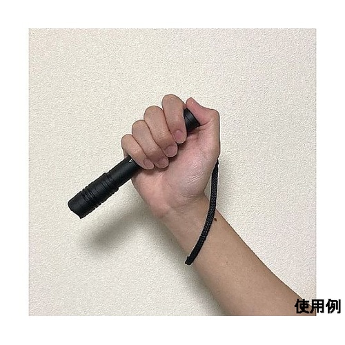 フラッシュライト/LED (防水/充電池