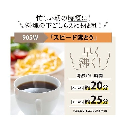 AC100V/905W/2.2L VE電