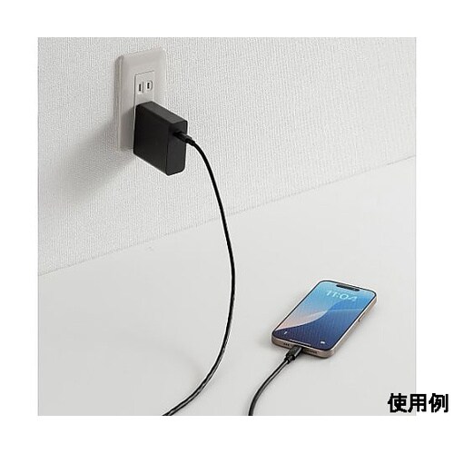3.0m USBケーブル (C−C/2.