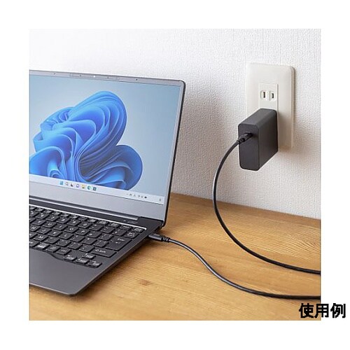 3.0m USBケーブル (C−C/2.