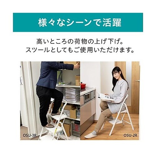 400x600x790mm 踏台 (ワイ