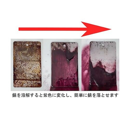 250g 即効性強力錆取り剤 EA920
