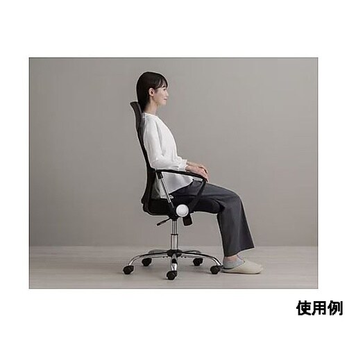 ビジネスチェアー (ブラック) EA9