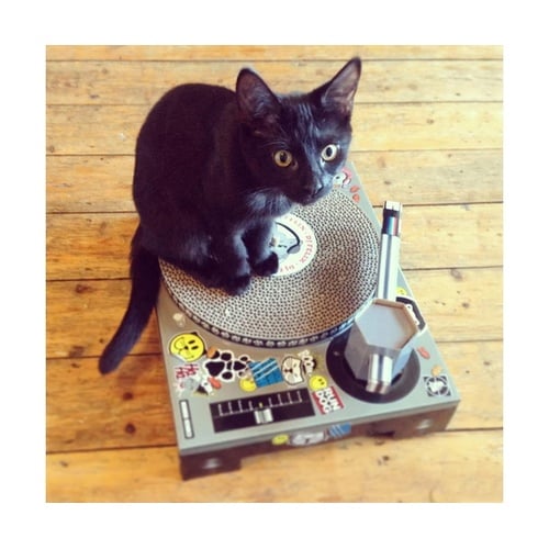 爪とぎ キャットスクラッチャー DJ 猫