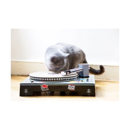 爪とぎ キャットスクラッチャー DJ 猫