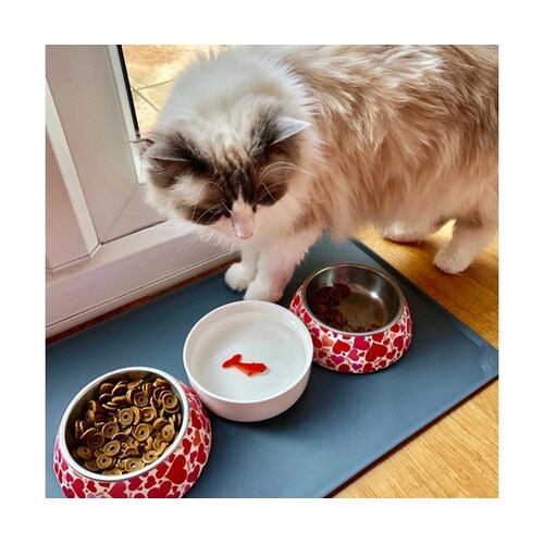 フードボウル SUCK UK キャットボ