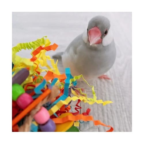 おもちゃ 鳥 ループ バディ ハッチデイ