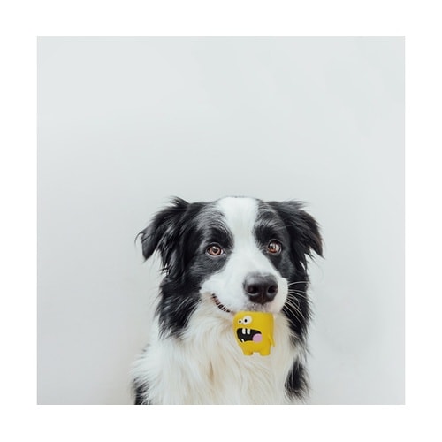 犬 おもちゃ ループ プーピーズ パンキ