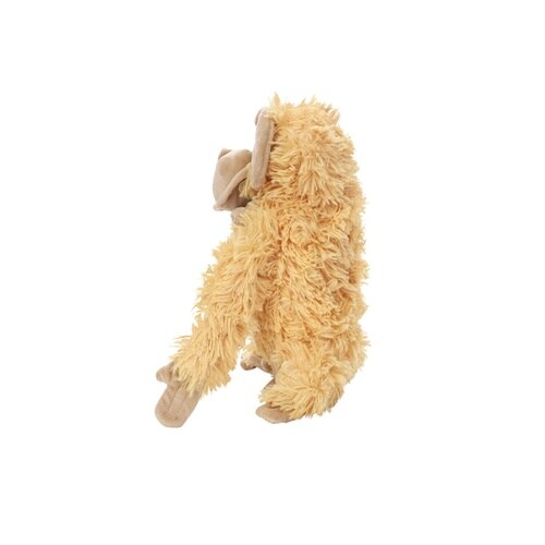 犬 おもちゃ ループ フレンディ オラン