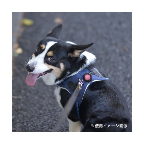 ライト 散歩 犬 ループセイフ ルーセン