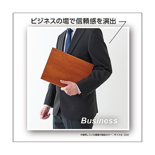 クリヤーファイル キャメル BP−581