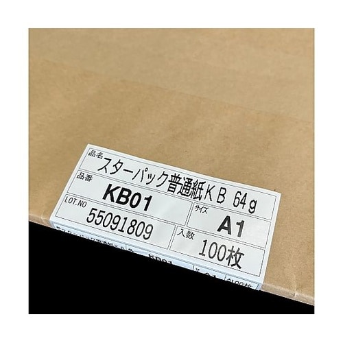 スターパック普通紙KB A1 64G T