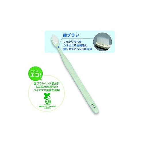 エコ歯ブラシセット ケース付 1箱(4セ