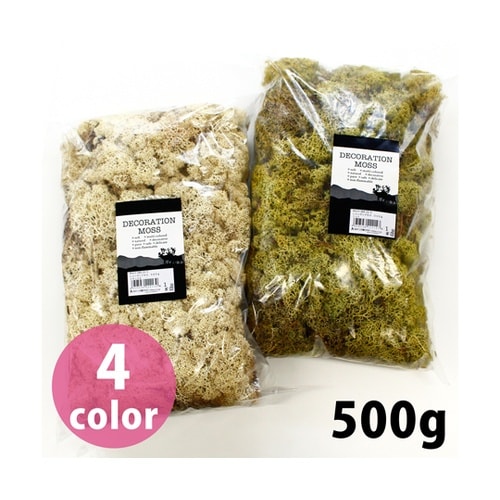 レインディアモス 3 ミント 500g