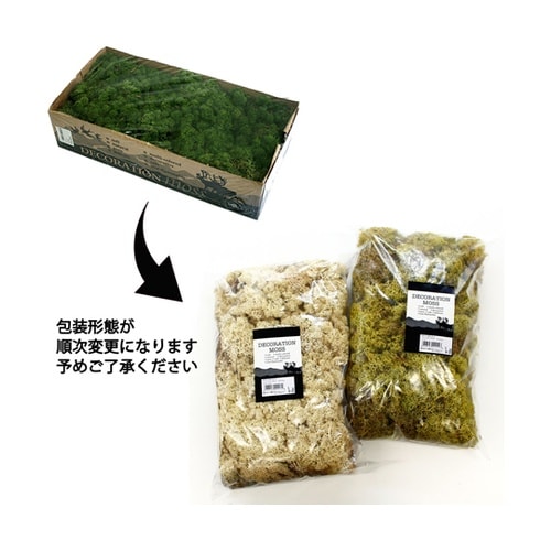 レインディアモス 3 ミント 500g