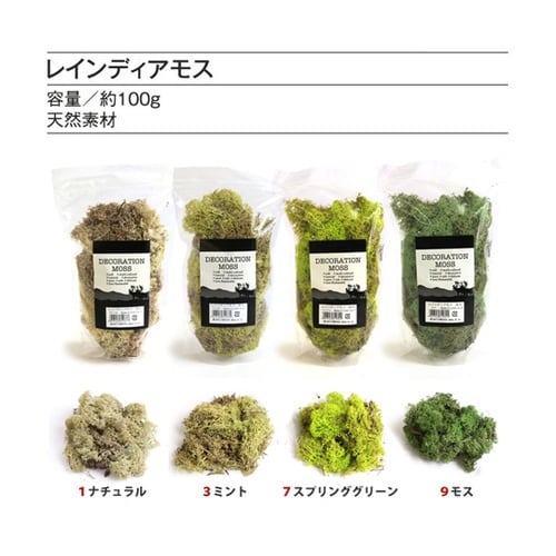 レインディアモス 9 モス 100g 1