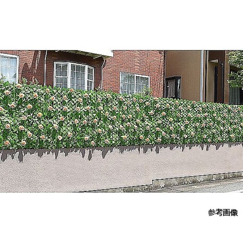 目隠しグリーンフェンス 花無しタイプ