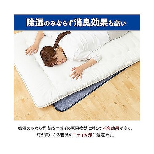 テイジン 快眠ドライプラス プレミアム