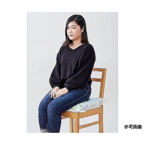 掃除機のいらない圧縮袋(XL)1袋(2枚