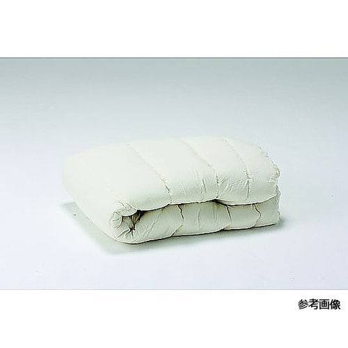 上に乗るだけ!ふとん圧縮パック(シングル