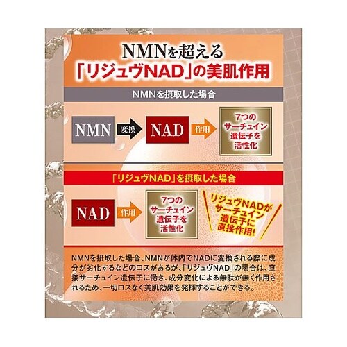 アクティブビューティーセラム リジュヴ美