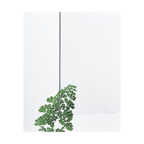 アクリル板透明900×900mm2枚入厚