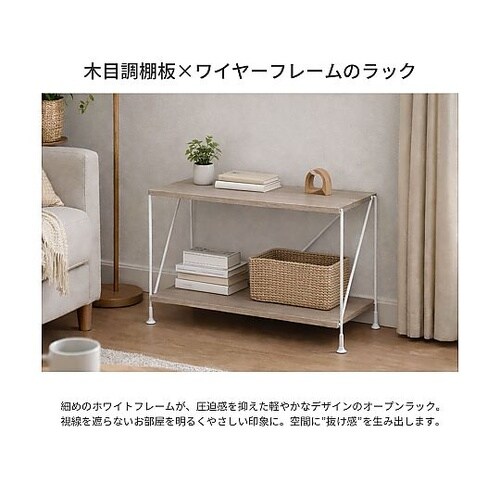 シンプルラック 60cm幅 2段 SPR