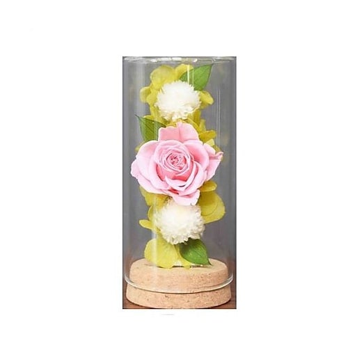 ギフト【香茶葉flower MATCHA