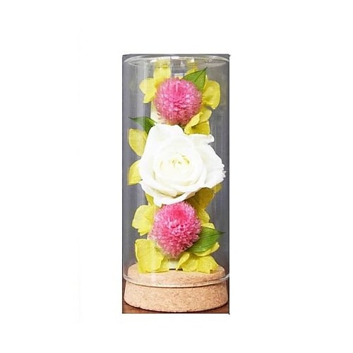 ギフト【香茶葉flower HOUJIC