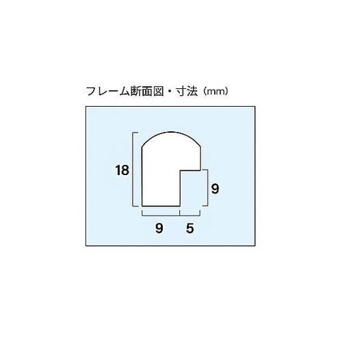 木製額縁 M20 全紙