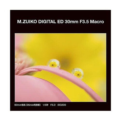 交換レンズ M.ZUIKO DIGITA