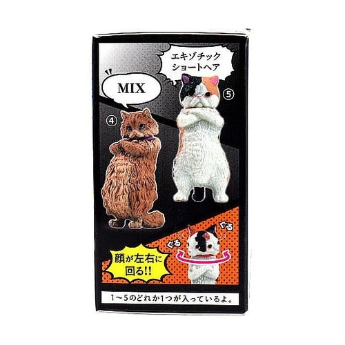 フィギュア ズン!! BOX