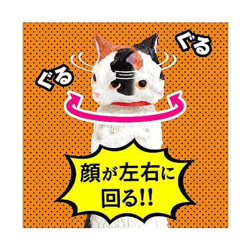 フィギュア ズン!! BOX