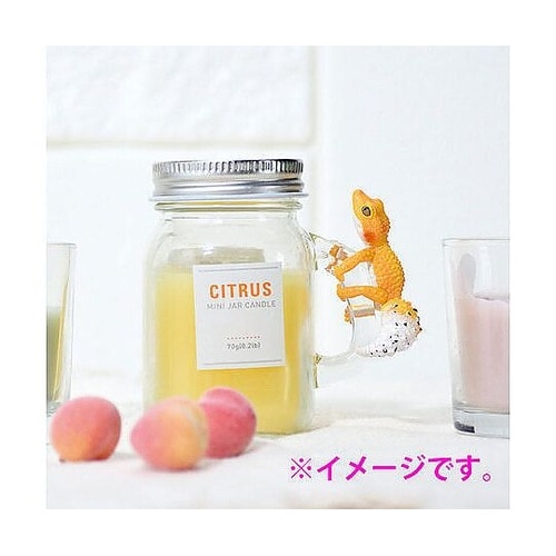 フィギュア どこでも抱きつき!レオパチャ