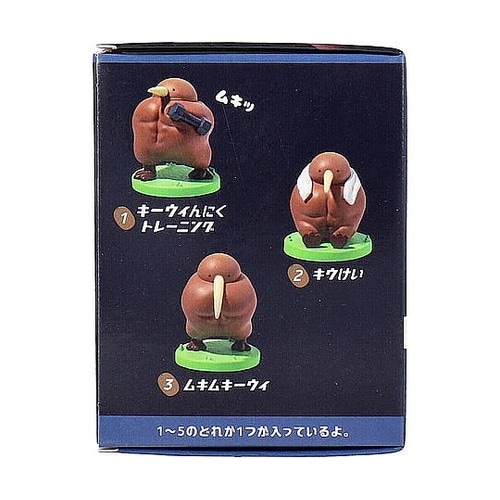 フィギュア ムキムキーウィ