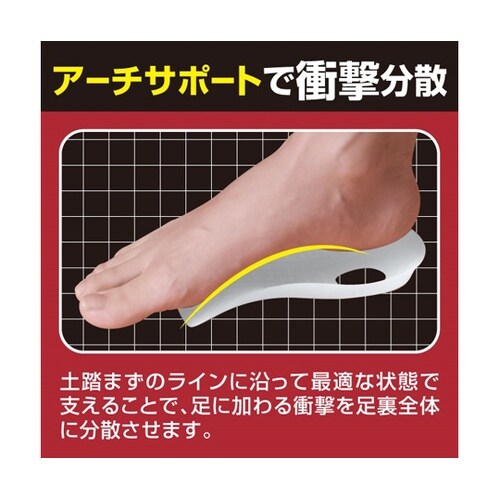 腰らくインソール アーチプラス L