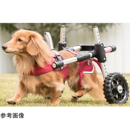 ドギーサポーターS+専用ハーネス DGS